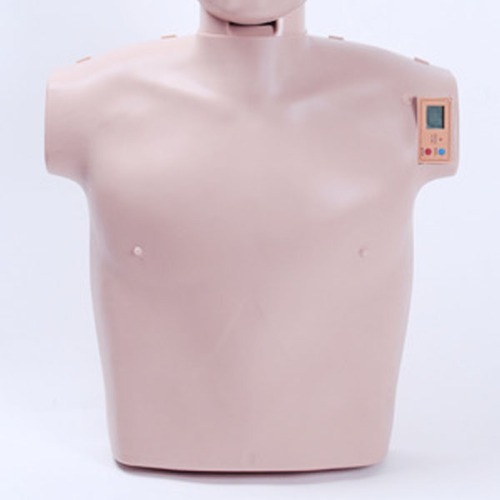 M CPR 실습마네킹 몸체 스킨 - 심폐소생술 실습