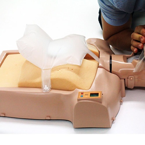 M CPR 실습마네킹 폐주머니 렁백 - 심폐소생술 실습
